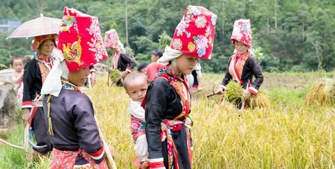 Quần dáng cong đang gây sốt với thiết kế độc đáo và tính ứng dụng cao, giúp tạo hiệu_Ý tưởng sáng tạo nội dung