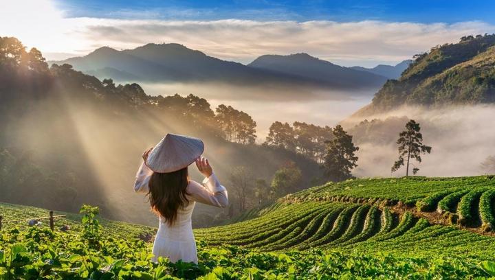 4 kiểu chân váy hết thời, - Cảm hứng video marketing từ Hotspot Matrix