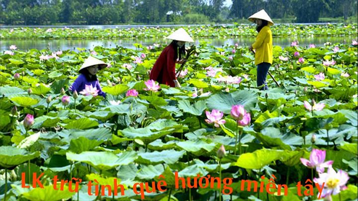Bán Bảo Hiểm Thông Minh: Thu Hút Khách Hàng Qua Video Tư Vấn Trên Hotspot Matrix
