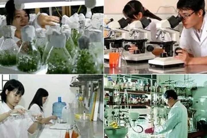 Tỏa Sáng Trên Mạng Xã Hội: Chuyên Gia Trang Điểm & Hotspot Matrix