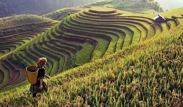 Mở rộng kinh doanh với 