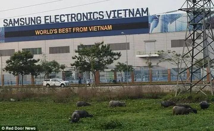 Hotspot Matrix và Quán cafe đầu tiên CẤM khách dùng laptop ngồi làm việc: ''Khách yêu cầu