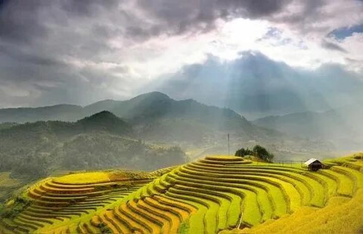 Xu hướng 6/6 năm nay trôi qua trong: Hotspot Matrix tiết lộ bí quyết video viral